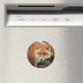 Red Fox van Cape Newenham Magneet (Insitu (Vaatwasser))
