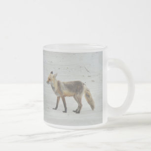 Red Fox Vixen - Island Beach State Park - NJ Matglas Koffiemok