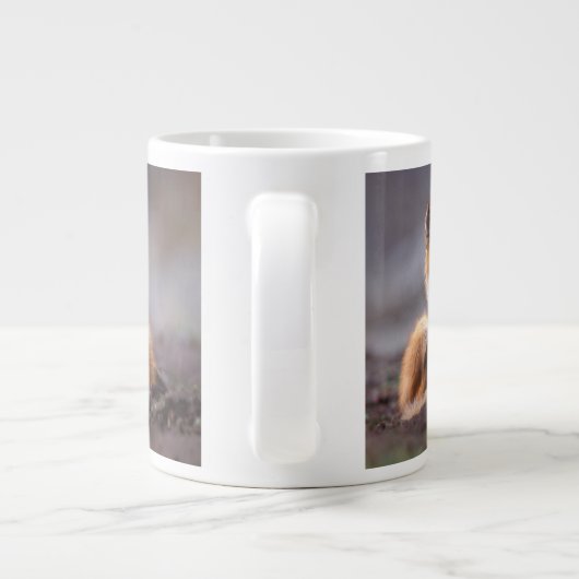 red fox, Vulpes vulpes, pup scratching itself; Jumbo Beker (Achterkant)