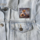 red fox, Vulpes vulpes, pup scratching itself; Vierkante Button 5,1 Cm (In situ)