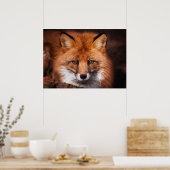 Red Fox Wild Woodland Animal Poster (Keuken)