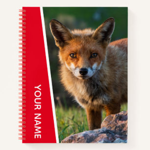 Red Fox Wildlife Animal Australië Notitieboek