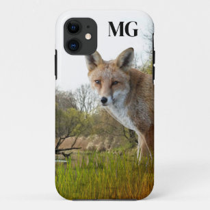 Red Fox Wildlife en Natuur iPhone 11 Hoesje