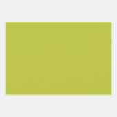 Red Fox Woodland Wildlife Pattern Inpakpapier Vel (Voorkant 3)