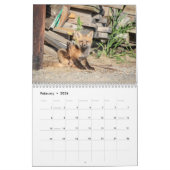Red Foxes 2021-agenda Kalender (Feb 2026)