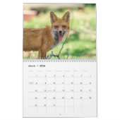 Red Foxes 2026 Kalender (Mar 2026)
