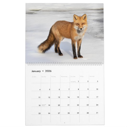 Red Foxes Calendar 2021 Kalender (Jan 2026)