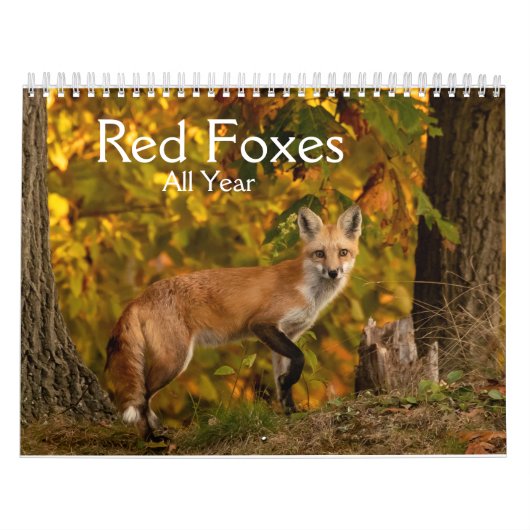 Red Foxes Calendrier de l'année (Protection)