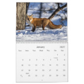 Red Foxes Kalender (Jan 2027)