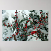Red Froid Berries hiver saison Poster Wall Art (Devant)