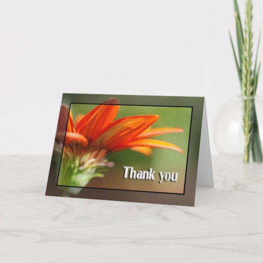 Red Gazania bedankt (Voorkant)