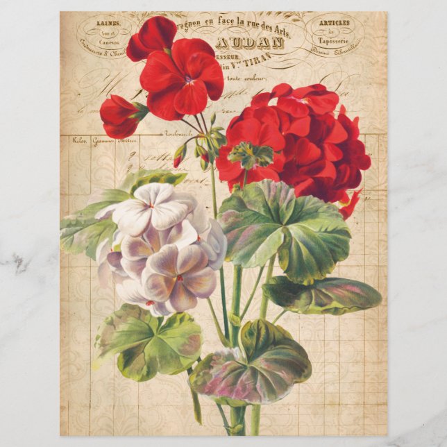 Red Geranium Collage Scrapbook Papier (Voorkant)