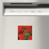 Red Geraniums Magnet (In Situ (Lave-vaisselle))