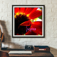 Red Gerber Daisy Closeup Foto Bold Modern Inspire