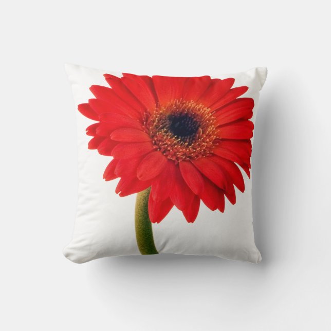 Red Gerber Daisy Flowers Floral Daisies Flower Kussen (Voorkant)