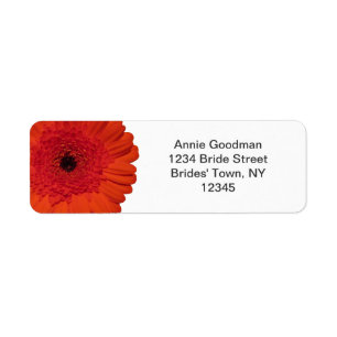 Red Gerber Daisy Retouradreslabel Etiket