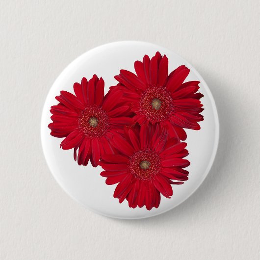Red Gerber Daisy sluit foto's op Ronde Button 5,7 Cm (Voorkant)