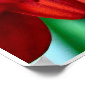 Red Gerber Poster (Hoek)