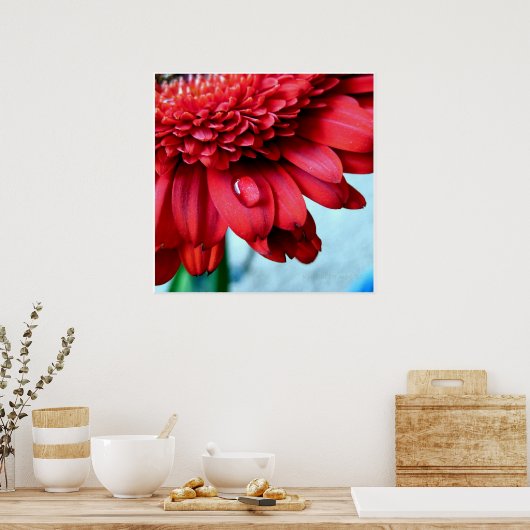 Red Gerber Poster (Keuken)