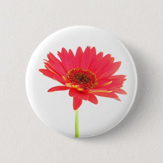 Red Gerbera Daisy Floral Button (Voorkant)