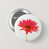 Red Gerbera Daisy Floral Button (Voorkant /achterkant)