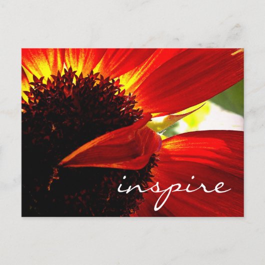 Red Gerbera Daisy Flower Inspire Script Modern Briefkaart (Voorkant)