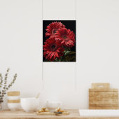 Red Gerbera Daisy Flowers Art Print Poster (Keuken)