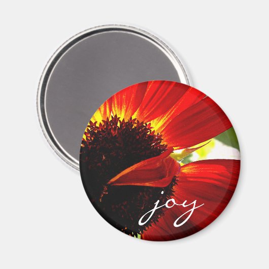 Red Gerbera Daisy Foto Joy Script Vet Modern Magneet (Voorkant / Achterkant)