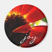 Red Gerbera Daisy Foto Joy Script Vet Modern Magneet (Voorkant)