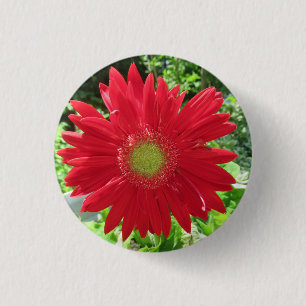 Red Gerbera Daisy Foto Ronde Button 3,2 Cm