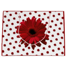 Red Gerbera Daisy Moederdag