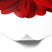 Red Gerbera Daisy Photo Print Foto Afdruk (Hoek)