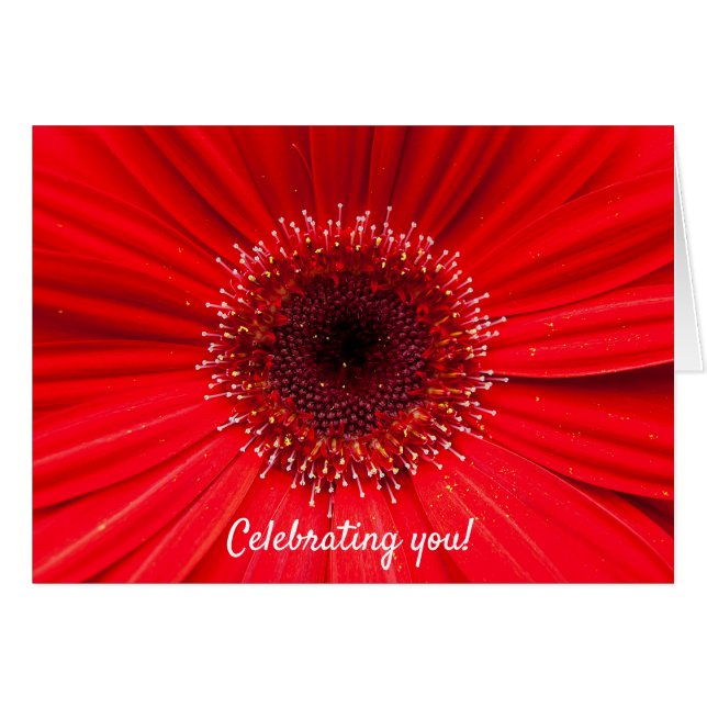 Red Gerbera Daisy pour anniversaire (Devant horizontal)