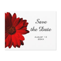 Red Gerbera Daisy Save the Date Briefkaart