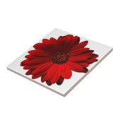 Red Gerbera Daisy Tegeltje (Zijkant)