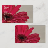 Red Gerbera Daisy Visitekaartje (Voorkant / Achterkant)