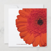 Red Gerbera Daisy Wedding Invitation Kaart (Achterkant)