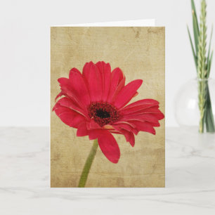 Red Gerbera Flower Kaart