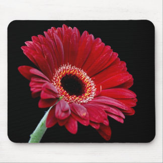 Red Gerbera Mousepad Muismat
