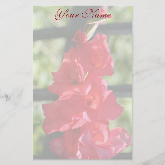 Red Gladiola briefpapier (Voorkant)