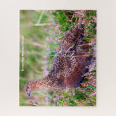 Red Grouse Jigzaag Puzzle Legpuzzel (Verticaal)