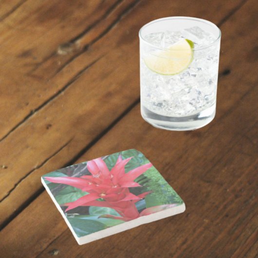 Red Guzmania Bromeliad Floral Stenen Onderzetter