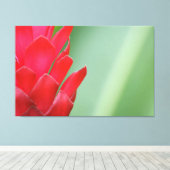 Red Hawaiian Ginger Flower Canvas Afdruk (Insitu (Houten vloer))