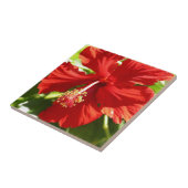Red Hawaiian Hibiscus Flower Tegeltje (Zijkant)