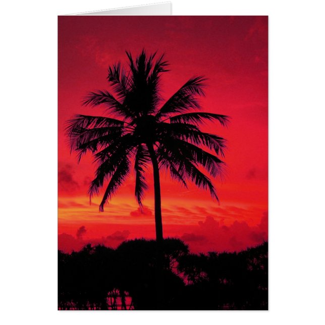 Red Hawaiian Sunset Exotic Palm Trees (Voorkant)