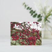 Red Hawthorn Berries Briefkaart (Staand voorkant)
