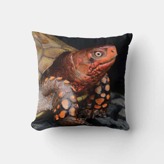 Red Head Eastern Box Turtle Kussen (Voorkant)