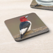 Red-headed Woodpecker on fence Bier Onderzetter (Linkerzijde)