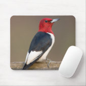 Red-headed Woodpecker on fence Muismat (Met muis)