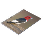 Red-headed Woodpecker on fence Notitieboek (Linkerzijde)